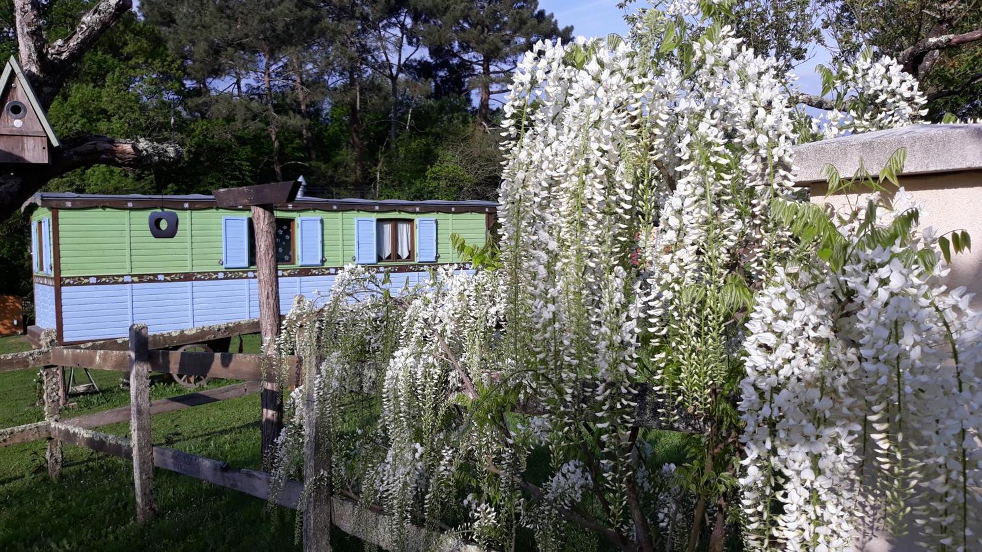 Roulotte Fleur Des Champs Villa Sigalens Luaran gambar